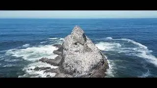 Castle Rock, Oregon coast USA