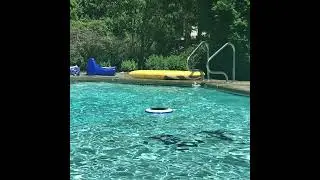 🌞 Experience the Future of Pool Maintenance with SolarClean Ionizer! 🌞