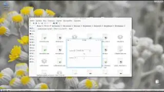 cursors in FLTK