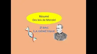 Résumé des lois de Mendel 2bac