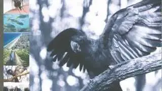 NCCARF National Adaptation Research Plan: Terrestrial Biodiversity - video