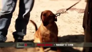 Fox11 News Special Report Tease (Air Date: 05.21.13) (-MK-)