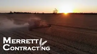 A Day In The Life Harvesting Wheat | Australian Wheat Farm | Case IH 2188