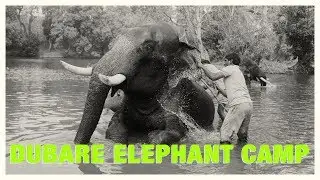 Dubare Elephant Camp | Jungle Lodges & Resorts | Impressions of India