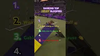 Ranking the best Masters Agility bloopers at the #WestminsterDogShow