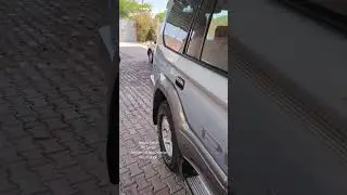 Toyota Prado 90 Series Mechanical and Interior Restoration