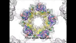 Shielding and activation of a viral membrane fusion protein