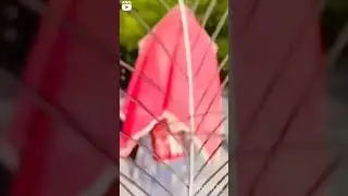 radhe radhe 🦚💝|Radha look Transition 😍|Janmashtmi krishna radha look|#shorts#transition#radhakrishna