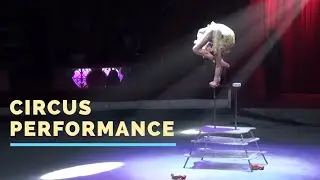 Circus Performance. Equilibrium. Contortion.