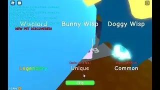 Hatching Wisplord On Camera (51st secret) | BGS
