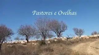 Pastores e Ovelhas