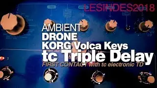 the AMBIENT effect of tc ELECTRONIC FLASHBACK TRIPLE DELAY w KORG VOLCA KEYS