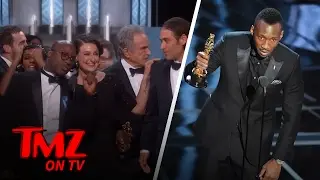 Moonlight Winning An Oscar Was a Triumphant Win For Many People | TMZ TV