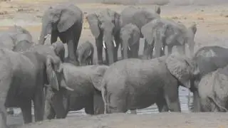Somalisa Camp - Africa Bush Camps