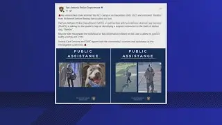 San Antonio police seek suspect in December theft of shelter dog 'Rambo'