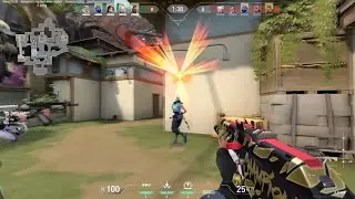 New Flash Bug Valorant