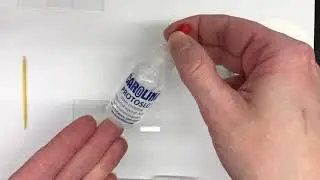 How to Make a Wet Mount Slide of Amoeba, Euglena and Paramecium