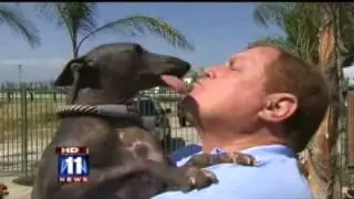 Burt Ward's Gentle Giants Rescue featured on Fox 11 news