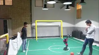 Team Parand Humanoid Soccer Robot 2013