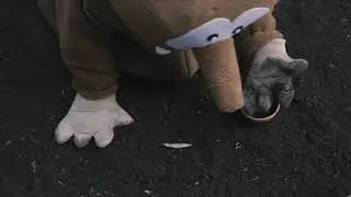 Tapsy loves to dig