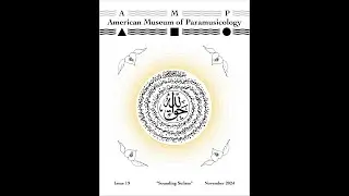 AMP Journal &bull; Issue 19 | Nov/2024  &bull; 