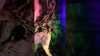 Evolution of Life &ndash; A Dark Ride