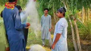 Fish 🐠 Hunting | CRBC Canal | Dhakki Dera ismail Khan