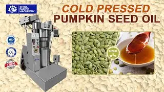 Pumpkin Oil Extraction|Cold Oil Press Machine|Pumpkin Oil Processing Plant|Pumpkin Oil Extractor