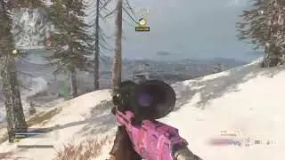 Dmr nerfed!!!!