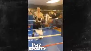 Boxer Charlie Z Knocks Deontay Wilder Out On video with Vicouos Left Hook