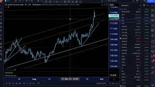 Bitcoin, Cash & Gold - Live Trading & Chart Analysis