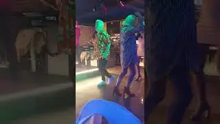 hilarious  moments in Buddies bar. Benidorm, I do not own the copyright to this music or song
