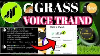 Grass New Update। Grass Voice Point Update। Grass Airdrop Ai Update। Grass Airdrop Update।