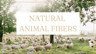 What Are Animal Fibers? - Untwisted Threads