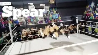 Goldberg Spear (wwe stop motion)