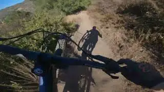Telonics Downhill Trail