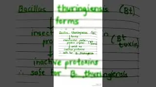 Bt toxin biotechnology and its applications bacillus thuringiensis bt cotton GM crops