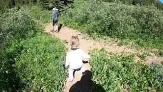 Cooke City trip 2020