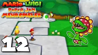 Paper Petey tut uns einen Gefallen und wirft diesen Toad. ⭐ [12] 📜 Paper Jam Multiplayer