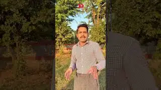 Best Scooty in Pakistan 2025 | Metro M6 Empower Price & Features Review ⚡ #Drive