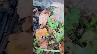 Rodent Bait