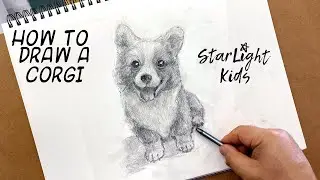 Corgi Puppy Drawing ✏️ How to Draw a Welsh Corgi (Pembroke) Dog | Drawing tutorials, Pencil drawings
