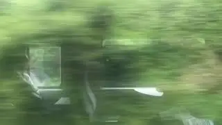 Optokinetic Stimulus Train