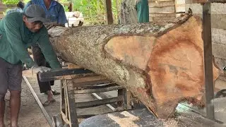 Steps to Sawing 5x7 Wood Using a Sawmill Machine