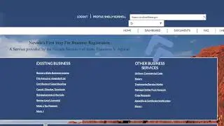 Funcionario del Estado de Nevada - Errores m&aacute;s comunes &ndash; SilverFlume