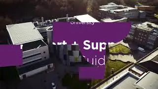 Report + Support User Guide