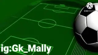 Passing and Shot-Stopping Highlights