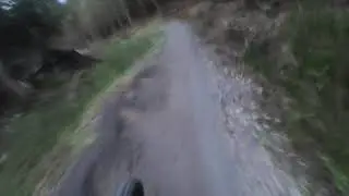 Hamsterley Forest Poltys Last Blast Mark