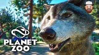 O Início do Zoológico! | Planet Zoo #01 | Gameplay pt br