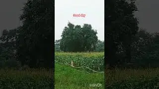 natural crone farm